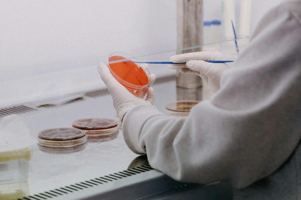 Inside Idan Foods’ R&D Process